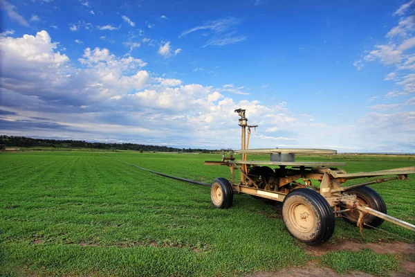 Fattoria Turf Freeman Reach Australia — Foto Stock