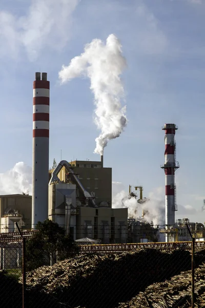 Vista Uma Fábrica Papel Industrial Com Altas Torres Fumaça — Fotografia de Stock