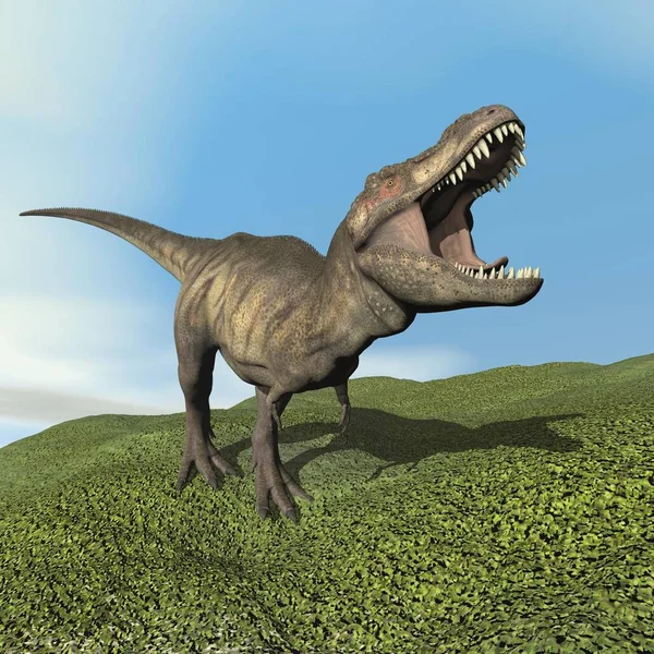 Dinosaurio Tiranosaurio Caminando Sobre Hierba Por Día Render — Foto de Stock