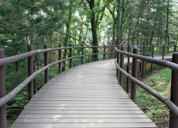 Ein Bild Einer Holzbrücke Südkorea — Stockfoto