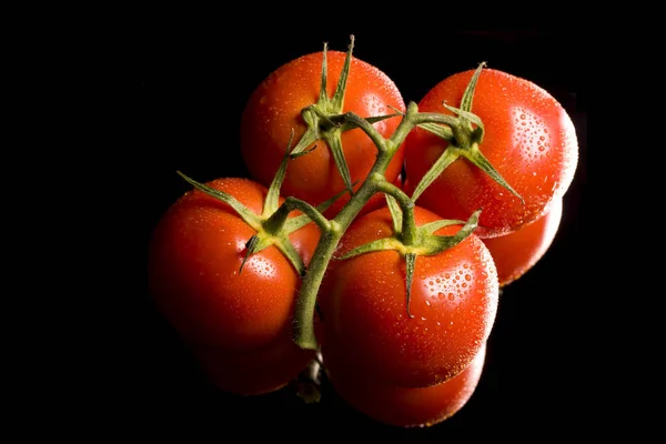 Vista Cerca Tomates Ecológicos Rojos Maduros Frescos — Foto de Stock