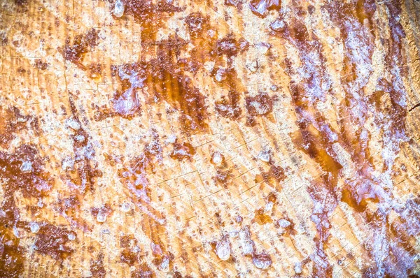 Textura Madera Vieja Para Fondo Serie Naturaleza — Foto de Stock