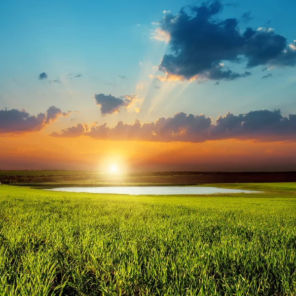 Buon Tramonto Sul Campo Verde Con Laghetto — Foto Stock