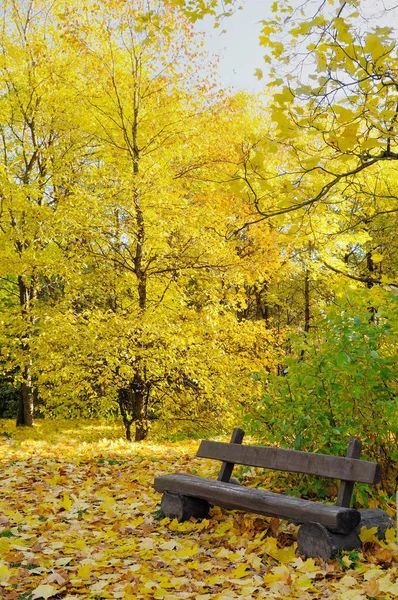Осінній Пейзаж Лавка Парку Центральному Парку — стокове фото