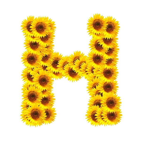 Květina Abeceda Čísla Slunečnice Izolovaných Bílém Pozadí — Stock fotografie