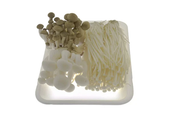Cogumelos Faia Marrom Cogumelo Shimeji Sobre Fundo Branco — Fotografia de Stock