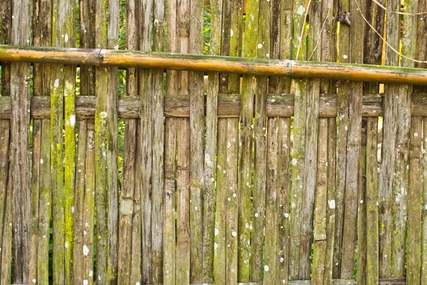 Textura Cerca Bambu Como Fundo Espaço Cópia — Fotografia de Stock