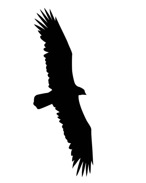 Ilustración Vectorial Aves Voladoras Sobre Fondo Blanco — Foto de Stock