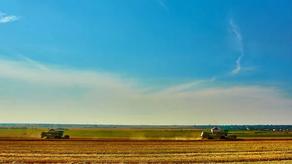 Mähdrescher Erntet Weizen Sonnigem Sommertag — Stockfoto