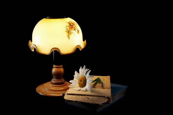Lámpara Flor Sobre Fondo Negro — Foto de Stock