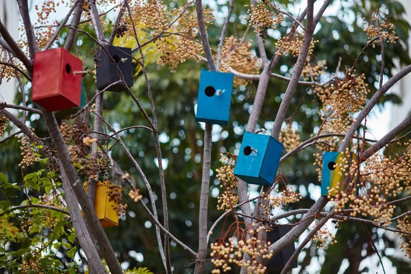 Muchas Casas Coloridas Aves Árbol —  Fotos de Stock