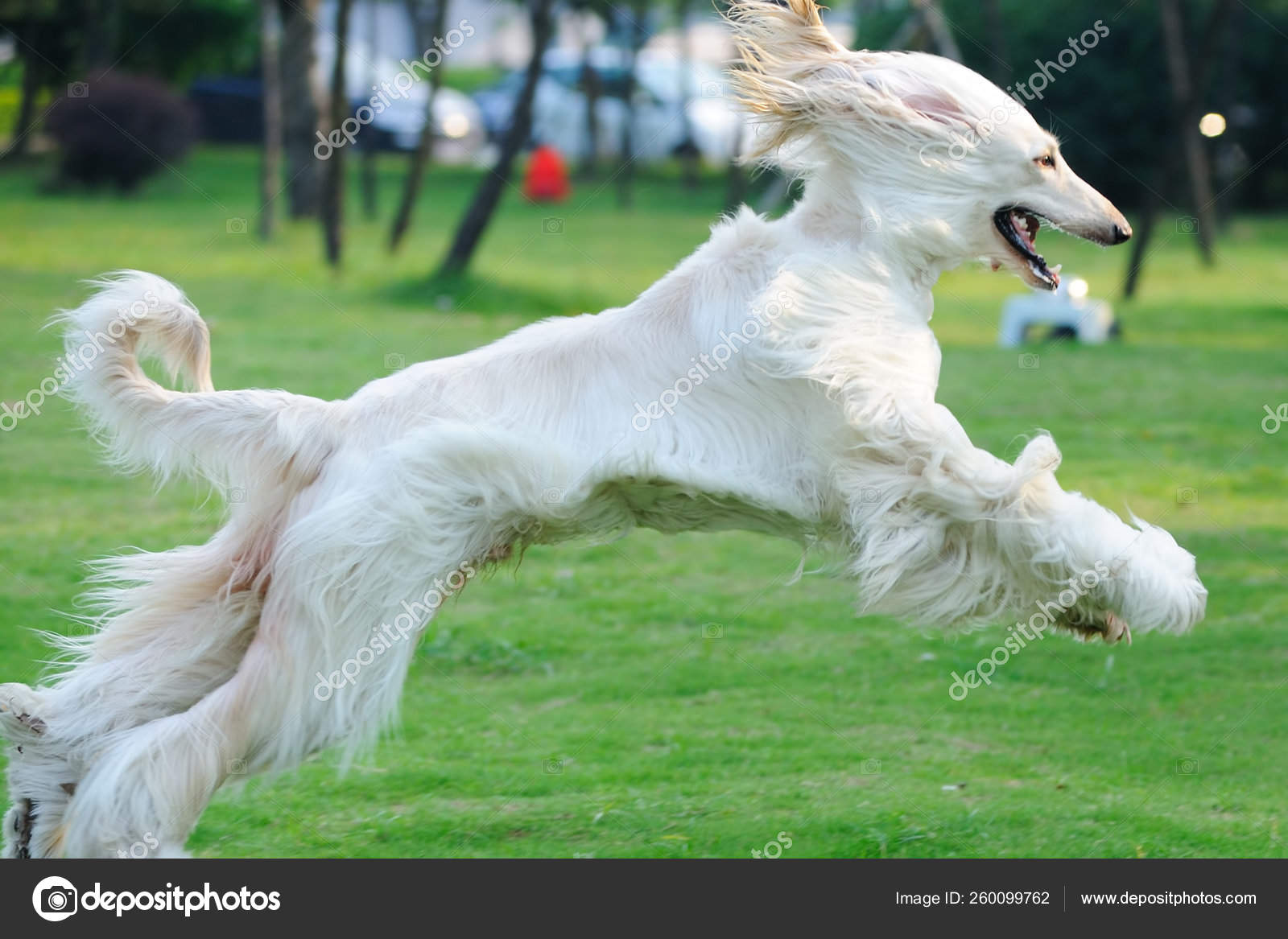 Running hound cheap