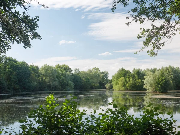 Letní Výhled Jezero Stromy Mraky Řasami Odrazky Suffolku — Stock fotografie