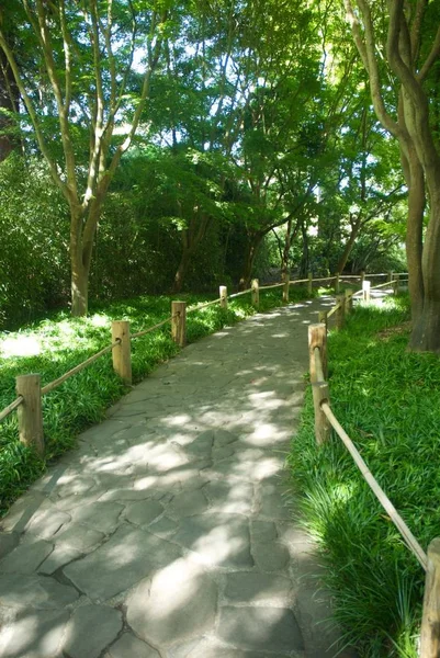 Usa Kalifornien San Francisco Golden Gate Park Japanska Tea Garden — Stockfoto