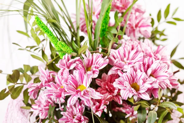Beautiful Bouquet Chrysanthemum — Stock Photo, Image