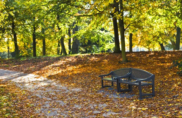Park Autumn Benches Made Recycled Plastics Horizontal — Stock Photo, Image