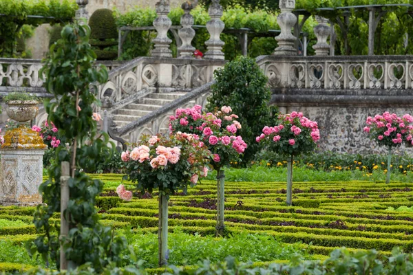 Köksträdgård Chateau Villandry Loire Valley Frankrike — Stockfoto