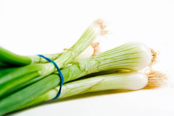 Een Bos Van Lente Uitjes Een Witte Achtergrond — Stockfoto