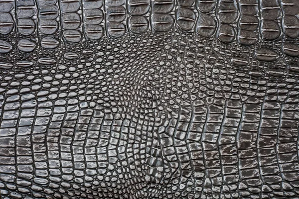 无缝天然鳄鱼皮纹理 — 图库照片