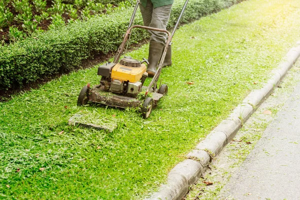 Gente Está Usando Cortadoras Césped Jardín —  Fotos de Stock