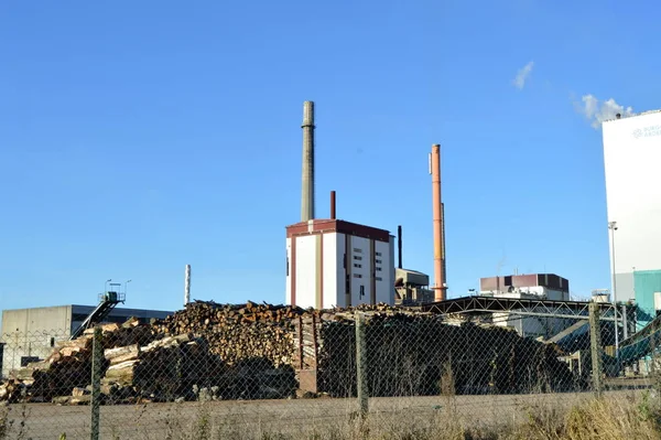 Usine Pâte Papier Avec Deux Cheminées Bois Ciel Bleu — Photo