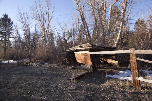 Старий Покинутий Сарай Або Кабіна Лісі — стокове фото