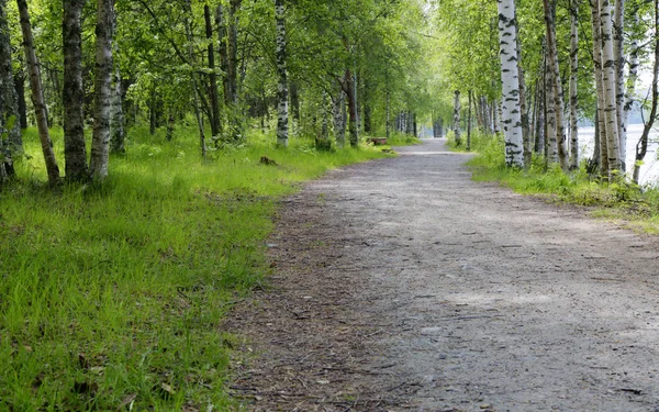 Camino Grava Ume Suecia Con Río Derecha — Foto de Stock