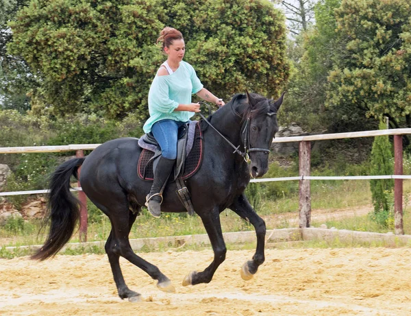 Montando Chica Semental Entrenamiento Doma — Foto de Stock