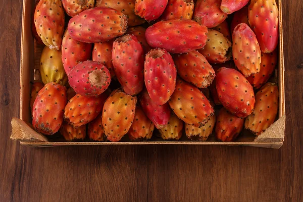 Prickly Pear Nopal Veel — Stockfoto