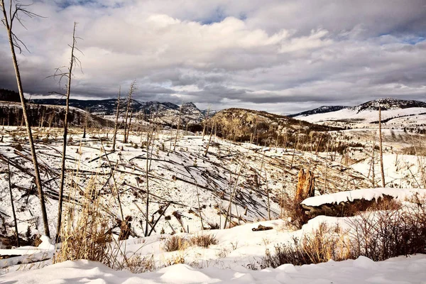 Yellowstone Park Wyoming Invierno Nieve — Foto de Stock