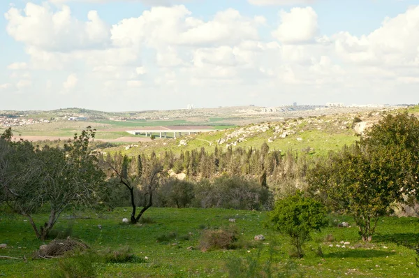 Venkovské Krajiny Izrael Jarní Den Jeruzalém Hills Izrael — Stock fotografie