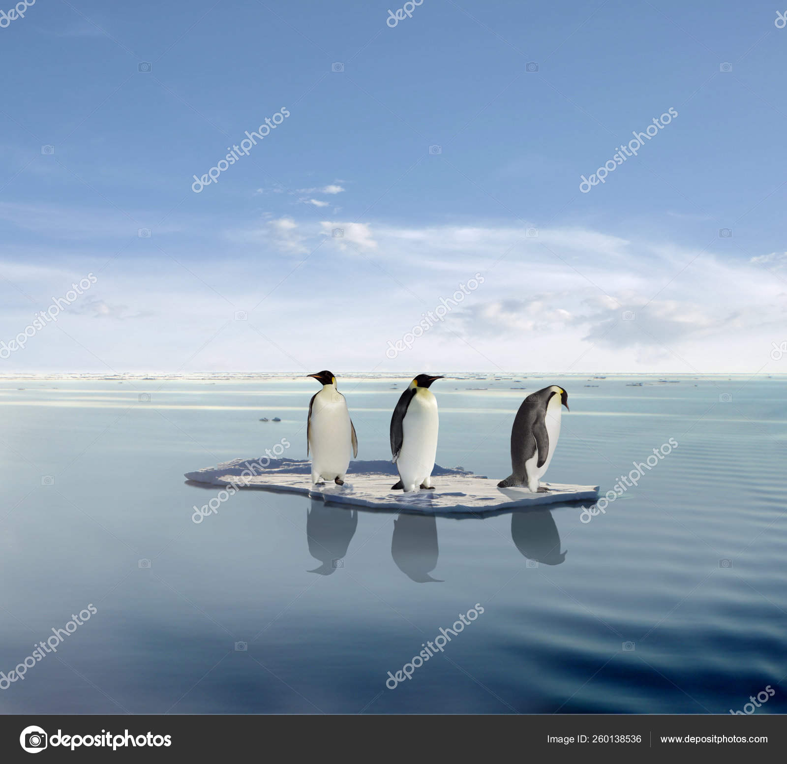 ANTARKTIS: Ewiges Eis - männer*, image size:1600x1553