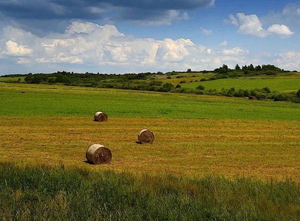 Bakgrunden Tecknade Landskap Scen Efter Skörd — Stockfoto