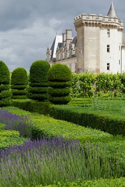 Zahrady Zámek Villandry Údolí Loiry Francii — Stock fotografie