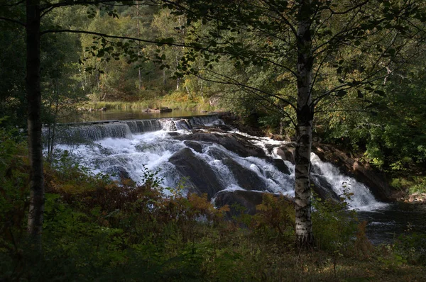 Cachoeira Árvores Floresta — Fotografia de Stock