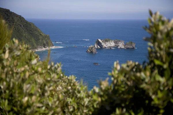 Vista Mar Nueva Zelanda Isla Sur Costa Oeste — Foto de Stock