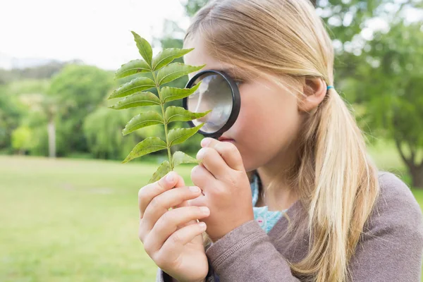 公園で虫眼鏡で葉を調べる若い女の子 — ストック写真