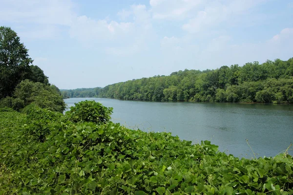 Wzdłuż Rzeki Catawba Zachodniej Karolinie Północnej — Zdjęcie stockowe