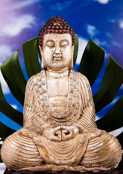 Βούδας Στο Εννοιολογικό Zen Ζωηρά Χρώματα Φυσικός Τόνος — Φωτογραφία Αρχείου