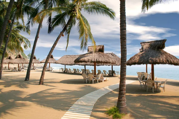 Cabanas Praia Tropical Alinhadas Sob Palmeiras — Fotografia de Stock