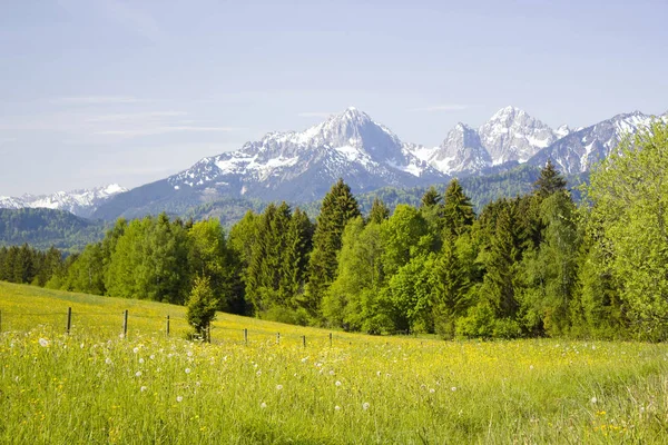 Hermoso Panorama Los Alpes Alemania — Foto de Stock