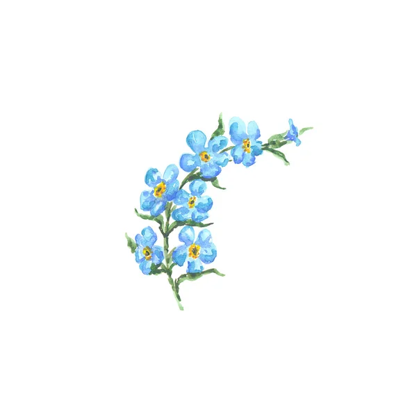 Světlé Akvarel Květ Listy Izolované Snadné Vyjmutí Bílé Pozadí — Stock fotografie