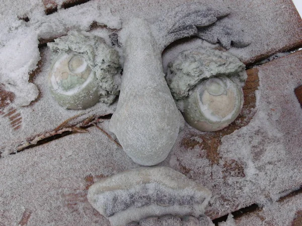 Gesicht Mit Leichtem Schnee Umgeben Große Augen Mund Und Nase — Stockfoto