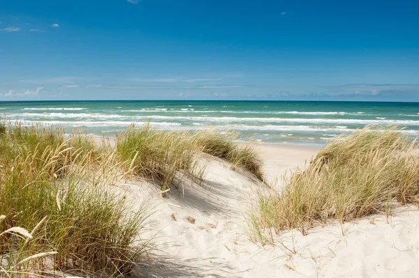 Wunderschöne Küste Von Tversted Dänemark Sommer — Stockfoto