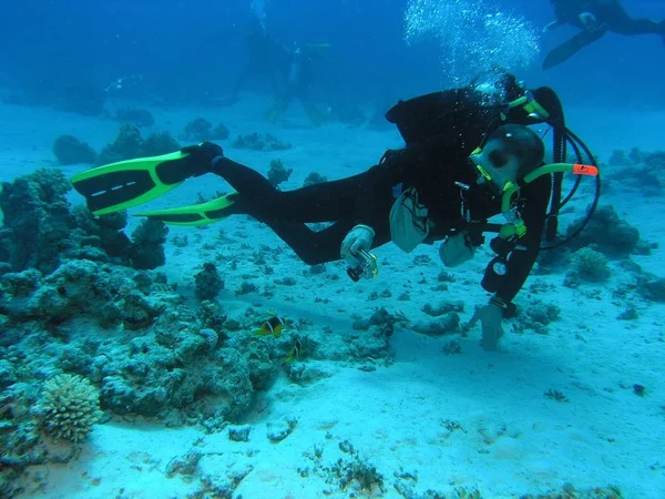 Mergulhador Recife Coral Mar Vermelho — Fotografia de Stock