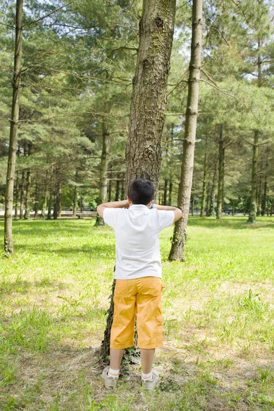 かくれんぼをして公園の木に寄りかかっている少年 — ストック写真