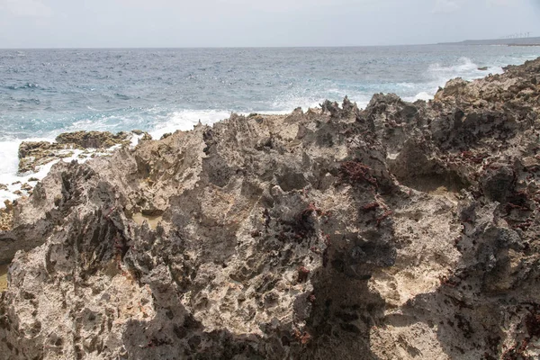 Plaży Dzikiej Stronie Oceanu Atlantyckiego Wyspie Bonaire — Zdjęcie stockowe
