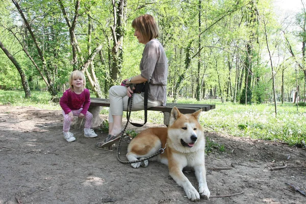 Büyükanne Torunu Köpek Bankta Zevk Ile — Stok fotoğraf