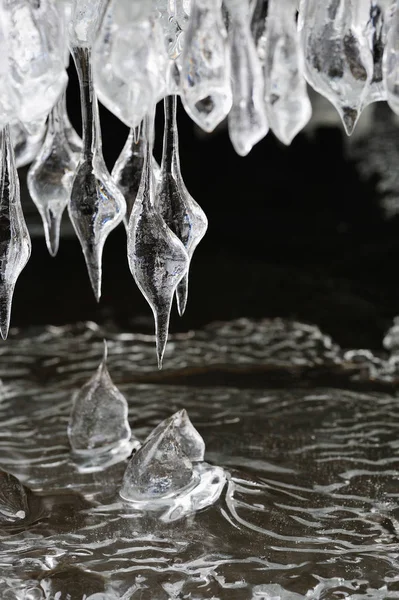 Spring Melting Ice Icicles Gallery — Stock Photo, Image