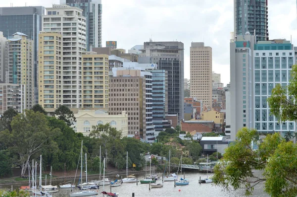 Rascacielos Brisbane Más Allá Orilla Norte Del Río Brisbane — Foto de Stock